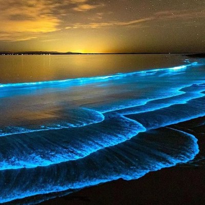 Bioluminescent waters