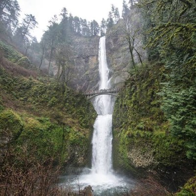 Multnomah Falls Bridge