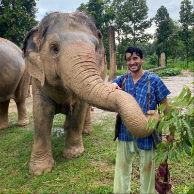 Feed the Elephants