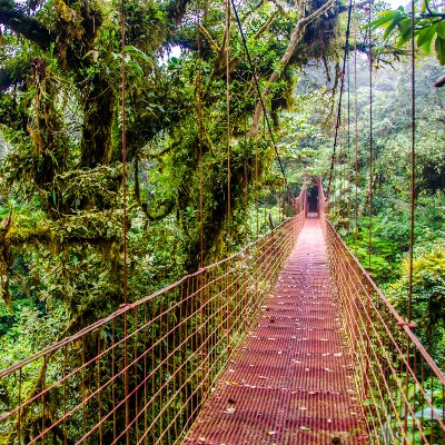 Monteverde Cloud Forest